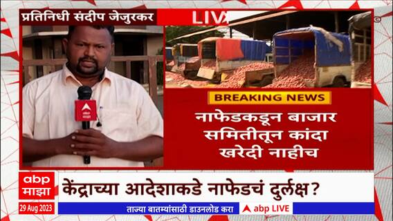 Nashik Onion : नाफेडकडून बाजार समितीतून कांदा खरेदी नाहीच, केंद्राच्या आदेशाकडे नाफेडचं दुर्लक्ष?