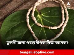 Tulsi Mala: তুলসীর মালা পরলে পাওয়া যায় অনেক উপকার? কী কী নিয়ম মানতে হয়?
