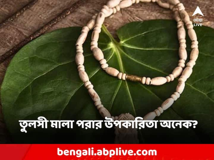 Tulsi Mala Rule: তবে কথায় আছে, বিশ্বাসে মিলায় বস্তু, তর্কে বহুদূর, তুলসীর মালা পরার ক্ষেত্রেও তাই