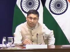 India To Allow Export Of Rice To Singapore After Country Sought Exemption To Buy Non-Basmati Varieties