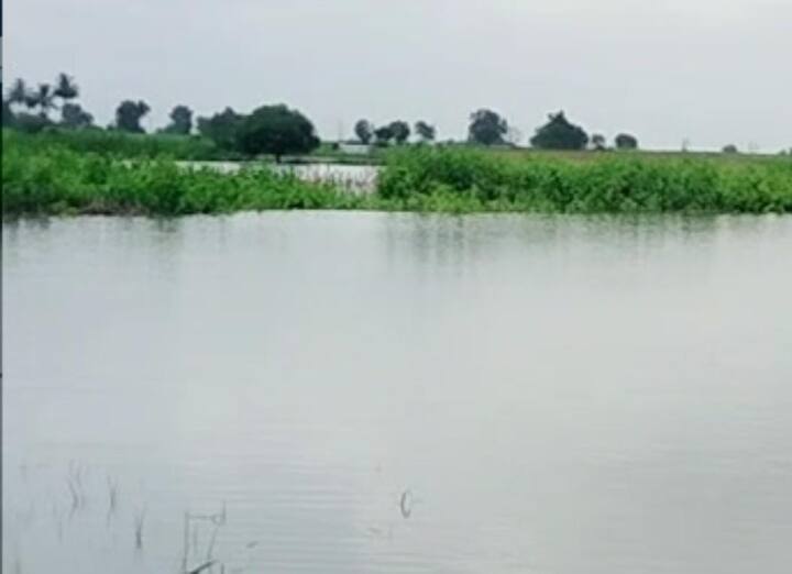 अथंग पाण्याचा साठा, जिथपर्यंत नजर जाईल तिथपर्यंत पाणीच पाणी आणि याच पाण्यात विषारी सापांचा धोका.