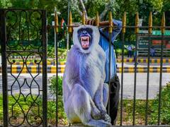 जी 20 शिखर सम्मेलन के दौरान बंदरों का नहीं होगा खौफ, लंगूर की आवाज निकालने वालों की तैनाती