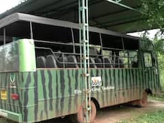 Tadoba Tiger Reserve : ताडोबा येथे दाखल होणार सहा विशेष जिप्सी , ताडोबा कोर झोन सिझन 1ऑक्टोबरपासून