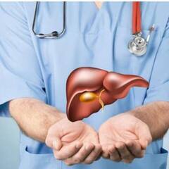 Health Tips: লিভারের জন্য 'বরদান' এই ৫ জিনিস, রক্তও থাকে পরিষ্কার