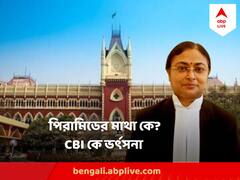 পঞ্চায়েত নির্বাচনের সময় একটু হুড়োহুড়ো, তারপর ঘুমিয়ে পড়লেন? বিচারপতি অমৃতা সিন্হার ভর্ৎসনা CBI কে
