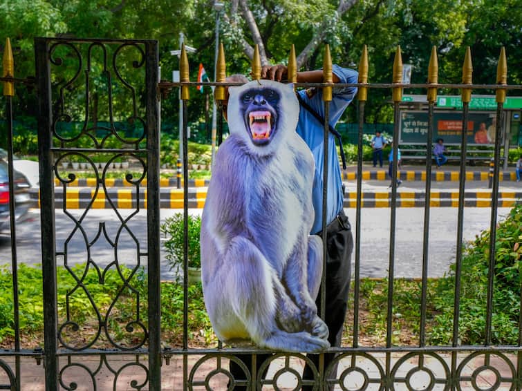 G20 Summit Delhi Monkey Menace Langur Cutouts People Hired To Mimic Primates G20: Large Langur Cutouts Come Up In Delhi To Prevent Any 'Money Business' During Summit