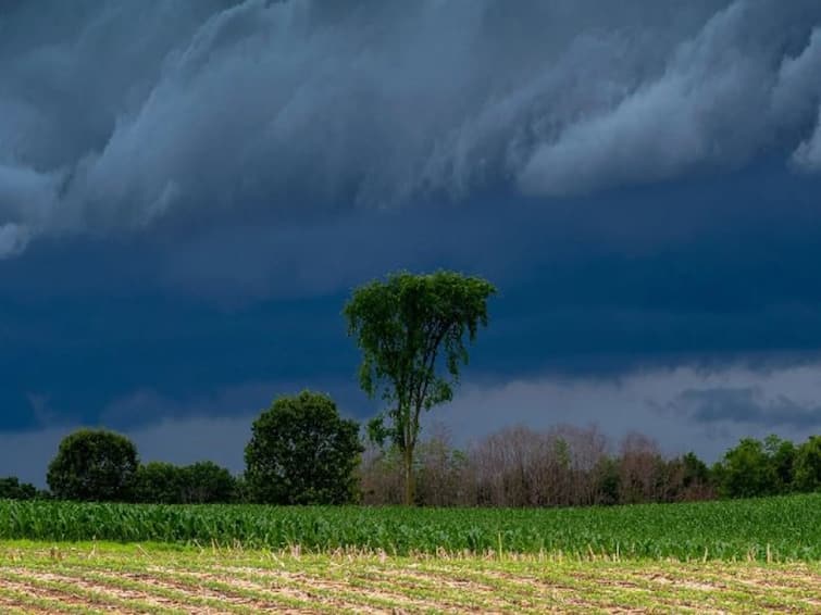 India Rain News 91 percent of the average rainfall in the country so far imd Maharashtra rain Kerala rain   India Rain : देशात आत्तापर्यंत सरासरीच्या 91 टक्के पाऊस, केरळसह महाराष्ट्रात पावसाची मोठी तूट 