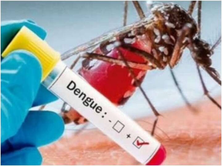 dengue fever outbreak tamilnadu govt chief secretary headed meeting today in chennai Dengue Issue: பரவும் டெங்கு காய்ச்சல், தமிழ்நாடு அரசு செய்யப்போவது என்ன? : தலைமை செயலகத்தில் இன்று ஆலோசனை