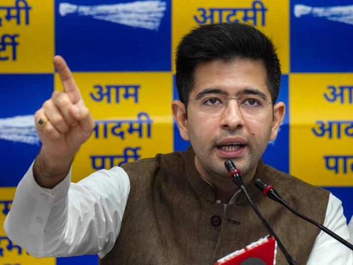 Raghav Chadha Says AAP Not Joined INDIA Alliance For PM Post Arvind Kejriwal Not In Race 'PM पद के लिए आप INDIA में शामिल नहीं हुई, बल्कि...', CM केजरीवाल के चेहरे पर बोले राघव चड्ढा