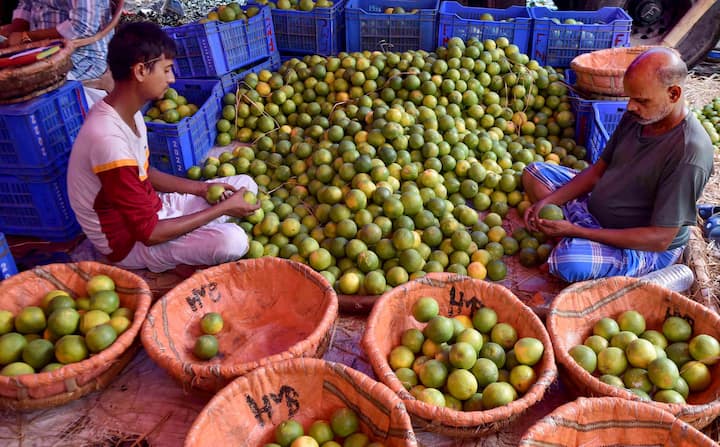 Mosambi Juice: এখন বছরের অধিকাংশ সময়েই পাওয়া যায়। স্বাদের সঙ্গেই পুষ্টিগুণেও ঠাসা থাকে এই লেবু।