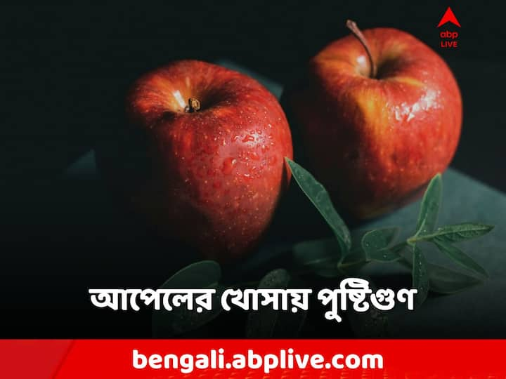 Apple Benefits: আপেলের খোসা ছাড়িয়ে খাওয়া হয় না কি খোসা-সহ, তার উপরেও কি নির্ভর করে পুষ্টি