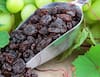 Health Tips : काळे मनुके खाण्याची योग्य पद्धत कोणती? हे आहेत फायदे