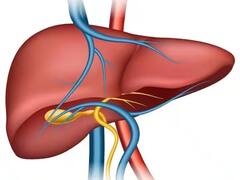 'या' 5 गोष्टी यकृतासाठी वरदान; एकदा नक्की करून पाहा, रक्तही शुद्ध होईल