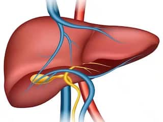 Health Tips : 'या' 5 गोष्टी यकृतासाठी वरदान; एकदा नक्की करून पाहा, रक्तही शुद्ध होईल