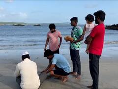 सिंधुदुर्ग किल्ल्यावरून दर्याला नारळ अर्पण...नारळ लढवण्याची स्पर्धा; तळकोकणात नारळी पौर्णिमेचा उत्साह; पाहा फोटो