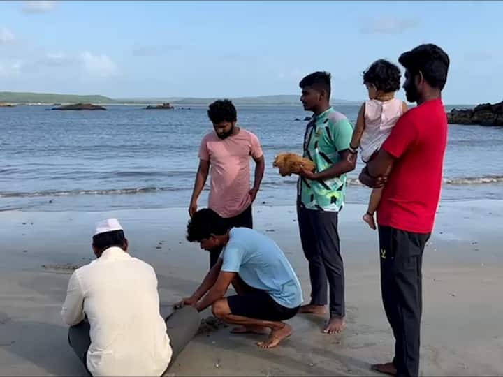 शिवकालीन काळापासून सिंधुदुर्ग किल्ल्यावरून पहिला मानाचा नारळ समुद्राला अर्पण केला जातो. त्यानंतर इतर मच्छिमार बांधव समुद्राला नारळ अर्पण करतात.