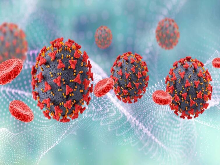 An infection with the BA.2.86 variant, the extreme variant of Omicron, has been detected in a Canadian province, government has confirmed. Corona BA.2.86 Variant: உலகை அச்சுறுத்தும் புதிய வகை கொரோனா.. தடுப்பூசி போட்டாலும் பாதிக்கும் திறன் கொண்ட BA.2.86 வைரஸ்..