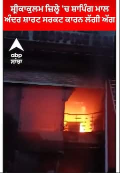 Andhra Pradesh| ਸ਼੍ਰੀਕਾਕੁਲਮ ਜ਼ਿਲ੍ਹੇ 'ਚ ਸ਼ਾਪਿੰਗ ਮਾਲ ਅੰਦਰ ਸ਼ਾਰਟ ਸਰਕਟ ਕਾਰਨ ਲੱਗੀ ਅੱਗ