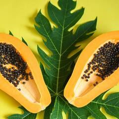 Papaya benefits: ਪਪੀਤਾ ਖਾਣ ਤੋਂ ਬਾਅਦ ਇਸ ਦੇ ਬੀਜ ਨਾ ਸੁੱਟੋ, ਫਾਇਦੇ ਜਾਣ ਕੇ ਹੋ ਜਾਵੋਗੇ ਹੈਰਾਨ