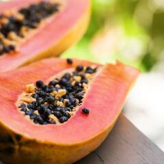 Papaya benefits: ਪਪੀਤਾ ਖਾਣ ਤੋਂ ਬਾਅਦ ਇਸ ਦੇ ਬੀਜ ਨਾ ਸੁੱਟੋ, ਫਾਇਦੇ ਜਾਣ ਕੇ ਹੋ ਜਾਵੋਗੇ ਹੈਰਾਨ