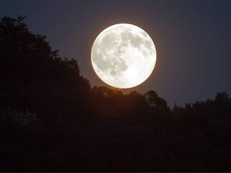 A super blue moon is a rare occurrence in the sky today Let's see in detail how to view it Super Blue Moon: எல்லோரும் வானத்தை பாருங்க! இன்று அரிதிலும் அரிதான நிகழ்வு.. அழகாக காட்சியளிக்கும் சூப்பர் ப்ளூ மூன்!