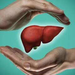 Health Tips: লিভারের জন্য 'বরদান' এই ৫ জিনিস, রক্তও থাকে পরিষ্কার