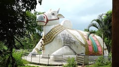 Giant Nandi in Andhra Pradesh : ప్రపంచంలోనే భారీ ఏకశిలా నంది.. మన్యం జిల్లాలో | DNN | ABP Desam