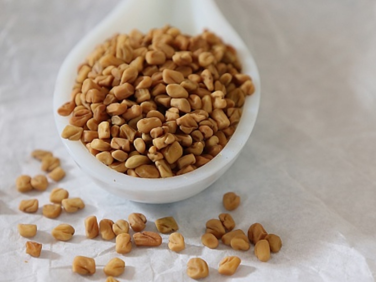 This is Why You Need Fenugreek For Hair Loss