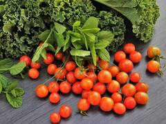 Health Tips : वजन कमी करण्यापासून ते कॅन्सरमुक्त होण्यापर्यंत चेरी टोमॅटोचे फायदेच फायदे...