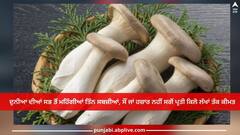 Most Expensive Vegetables: ਦੁਨੀਆ ਦੀਆਂ ਸਭ ਤੋਂ ਮਹਿੰਗੀਆਂ ਤਿੰਨ ਸਬਜ਼ੀਆਂ, ਸੌਂ ਜਾਂ ਹਜ਼ਾਰ ਨਹੀਂ ਸਗੋਂ ਪ੍ਰਤੀ ਕਿਲੋ ਲੱਖਾਂ ਤੱਕ ਕੀਮਤ