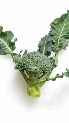 टाईप 2 मधुमेहाचा धोका कमी होऊ शकतो, आजच आपल्या आहारात या पदार्थांचा समावेश करा!