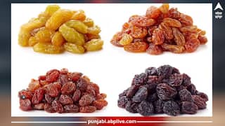 Benefits of Raisins: ਕਾਲੀ ਸੌਗੀ ਖਾਣ ਦਾ ਸਹੀ ਤਰੀਕਾ ਕੀ?...ਮਰਦਾਂ ਲਈ ਜ਼ਿਆਦਾ ਫਾਇਦੇਮੰਦ