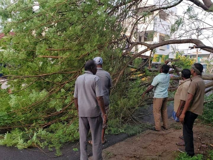 Karur news Due to heavy rain a 30-foot-high waga tree fell on the road in karur TNN கரூரில் சாலையில் சரிந்த 30 அடி உயர வாகை மரம் - போக்குவரத்து மாற்றம்