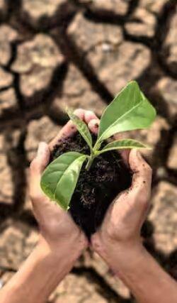 ਮਹਾਨ ਸੰਕਟ! ਇਹ ਹੈ ਦੁਨੀਆ ਦਾ ਸਭ ਤੋਂ ਵੱਡਾ ਸੰਕਟ, ਬਣੇਗਾ 1 ਅਰਬ ਲੋਕਾਂ ਦੀ ਮੌਤ ਦਾ ਕਾਰਨ