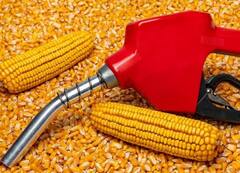 Ethanol : 15 दिवसात इथेनॅाल दरात दुसऱ्यांदा वाढ