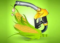 Ethanol : 15 दिवसात इथेनॅाल दरात दुसऱ्यांदा वाढ