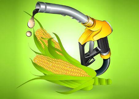 तांदूळ आणि मक्यापासून बनवल्या जाणाऱ्या इथेनॉलच्या खरेदी दरात (Ethanol Price)  प्रतिलिटर तीन रुपये 71 पैशांची वाढ करण्याचा निर्णय केंद्र सरकारने घेतलाय.