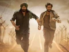 500 करोड़ के क्लब में शामिल होने के बस इतने करीब सनी देओल की फिल्म! 'गदर 2' ने 21वें दिन किया इतना कलेक्शन