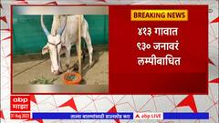 Ahmednagar Lumpy : अहमदनगर लम्पीबाबत क्षेत्र म्हणून घोषित, लम्पीग्रस्त जनावरांच्या वाहतुकीवर बंदी
