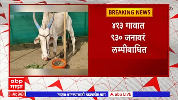 Ahmednagar Lumpy : अहमदनगर लम्पीबाबत क्षेत्र म्हणून घोषित, लम्पीग्रस्त जनावरांच्या वाहतुकीवर बंदी