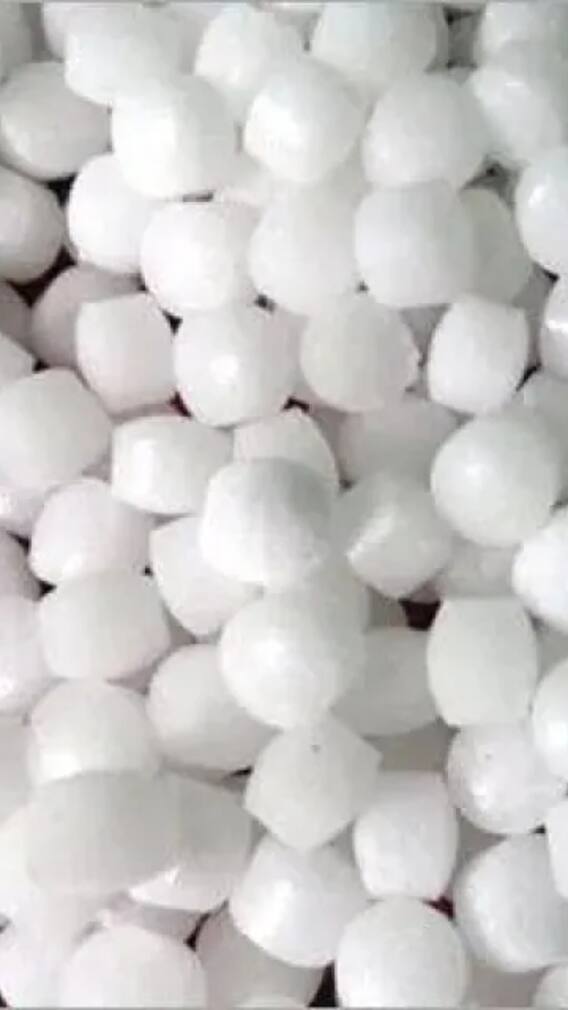 ਪੂਜਾ ‘ਚ ਵਰਤੇ ਜਾਣ ਵਾਲਾ ਕਪੂਰ ਕਿਸ ਚੀਜ਼ ਤੋਂ ਬਣਦਾ?