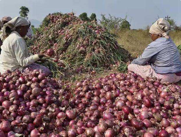 Prepare for the next dose of inflation in September, tomatoes become cheaper...still the kitchen budget will not be managed Onion Price Rise: ਸਤੰਬਰ 'ਚ ਮਹਿੰਗਾਈ ਦੀ ਅਗਲੀ ਖੁਰਾਕ ਲਈ ਰਹੋ ਤਿਆਰ , ਟਮਾਟਰ ਹੋਏ ਸਸਤੇ... ਫਿਰ ਵੀ ਨਹੀਂ ਸੰਭਲੇਗਾ ਰਸੋਈ ਦਾ ਬਜਟ