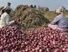 Onion Price Rise: ਸਤੰਬਰ 'ਚ ਮਹਿੰਗਾਈ ਦੀ ਅਗਲੀ ਖੁਰਾਕ ਲਈ ਰਹੋ ਤਿਆਰ , ਟਮਾਟਰ ਹੋਏ ਸਸਤੇ... ਫਿਰ ਵੀ ਨਹੀਂ ਸੰਭਲੇਗਾ ਰਸੋਈ ਦਾ ਬਜਟ