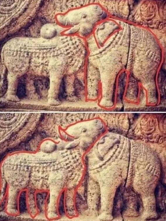 ये हाथी है या बैल? घूम जाएगा आपका दिमाग