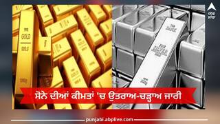 Gold Silver Rate: ਸੋਨੇ ਦੀਆਂ ਕੀਮਤਾਂ 'ਚ ਉਤਰਾਅ-ਚੜ੍ਹਾਅ ਜਾਰੀ, ਤਿਉਹਾਰੀ ਸੀਜ਼ਨ ਤੋਂ ਪਹਿਲਾਂ ਖਰੀਦਣ ਦਾ ਸੁਨਹਿਰੀ ਮੌਕਾ