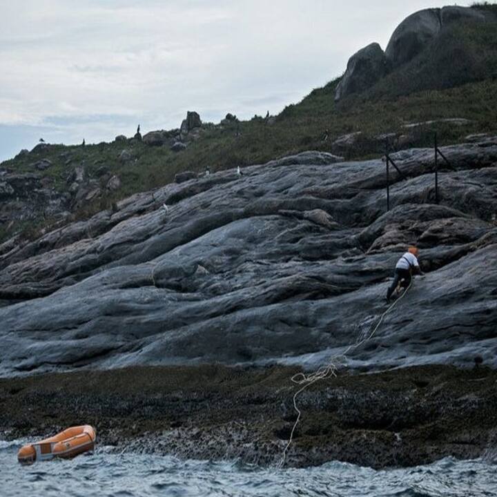 ਇਸ ਥਾਂ 'ਤੇ ਸੱਪਾਂ ਦੀਆਂ 4000 ਤੋਂ ਵੱਧ ਪ੍ਰਜਾਤੀਆਂ ਪਾਈਆਂ ਜਾਂਦੀਆਂ ਹਨ। ਇਹੀ ਕਾਰਨ ਹੈ ਕਿ ਬ੍ਰਾਜ਼ੀਲ ਦੀ ਸਰਕਾਰ ਅਤੇ ਉਸ ਦੀ ਜਲ ਸੈਨਾ ਨੇ ਇਸ ਟਾਪੂ 'ਤੇ ਆਮ ਲੋਕਾਂ ਦੇ ਦਾਖਲੇ 'ਤੇ ਪਾਬੰਦੀ ਲਗਾ ਦਿੱਤੀ ਹੈ।