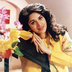 Meenakshi Seshadri Photos: सालों बाद ऐसी दिखती हैं सनी देओल की ‘दामिनी’, एक्टिंग से दूर विदेश में कर रही ये काम