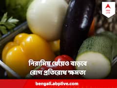 Immunity Booster :আমিষ না খেয়েও দিব্য বাড়ে রোগ প্রতিরোধ ক্ষমতা, হাতের নাগালেই আছে এই খাবারগুলো