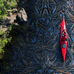 Snake Island: ਮਿਲ ਗਿਆ ਸੱਪਾਂ ਦਾ ਸਾਮਰਾਜ, ਕੀ ਇੱਥੋਂ ਪੂਰੀ ਦੁਨੀਆ ਵਿੱਚ ਫੈਲੇ ਸੱਪ?