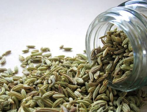 Benefits Of Consuming Fennel Seeds: ਸੌਂਫ ਇੱਕ ਬਹੁਤ ਹੀ ਲਾਭਦਾਇਕ ਔਸ਼ਧੀ ਪੌਦਾ ਹੈ। ਇਸ ਵਿੱਚ ਕਈ ਤਰ੍ਹਾਂ ਦੇ ਔਸ਼ਧੀ ਗੁਣ ਪਾਏ ਜਾਂਦੇ ਹਨ। ਸੌਂਫ ਵਿੱਚ ਐਂਟੀਆਕਸੀਡੈਂਟ, ਐਂਟੀ-ਬੈਕਟੀਰੀਅਲ ਅਤੇ ਐਂਟੀ-ਇਨਫਲੇਮੇਟਰੀ ਗੁਣ ਹੁੰਦੇ ਹਨ। ਇਹ ਪਾਚਨ ਤੰਤਰ ਨੂੰ ਸਿਹਤਮੰਦ ਰੱਖਣ 'ਚ ਮਦਦ ਕਰਦਾ ਹੈ।